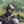 Photo de profil de sof73