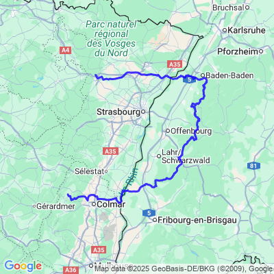 08-25-D2 FORET NOIR CENTRE-NORD