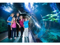 Aquarium Orlando