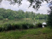 Etang de la Roche