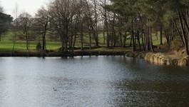 Etang de la Roche