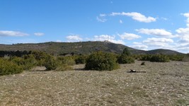 Vue sur le Mont St Baudille