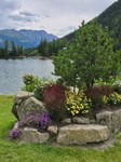 Champex-Lac