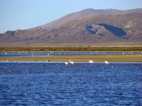 Laguna de Posuelos